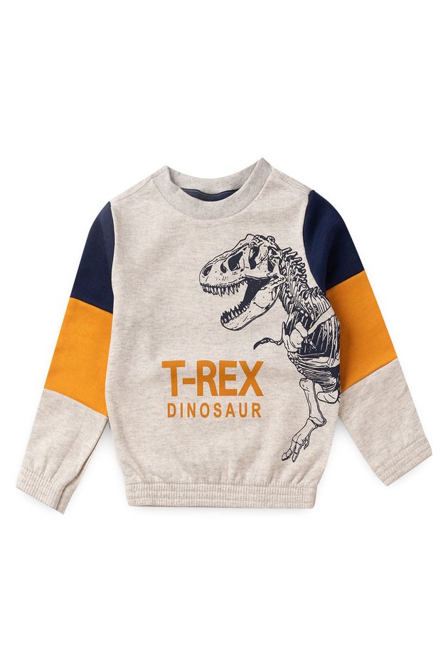 Casaco Infantil Menino em Moletom Dinossauro